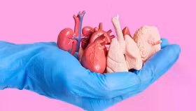 Đề xuất cho người dưới 18 tuổi hiến mô tạng, Bộ Y tế nói gì?