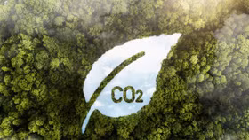 Vốn cho chuyển đổi xanh: Chờ sức bật từ thị trường carbon