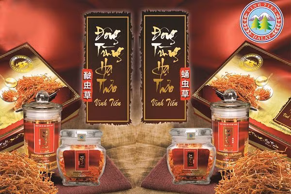 trà Atiso Vĩnh Tiến