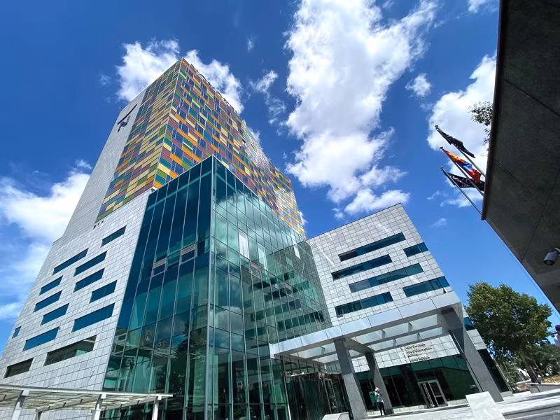 Lãng du Mông Cổ ảnh 5