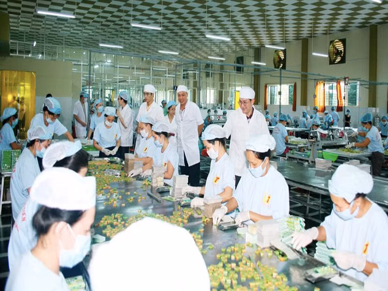 CEO VĨNH TIẾN ĐẶNG THỊ TRÚC LAN CHI: TỪ MỘT THỢ MAY TRỞ THÀNH NGƯỜI ĐƯA ĐẶC SẢN QUÊ NHÀ RA THẾ GIỚI