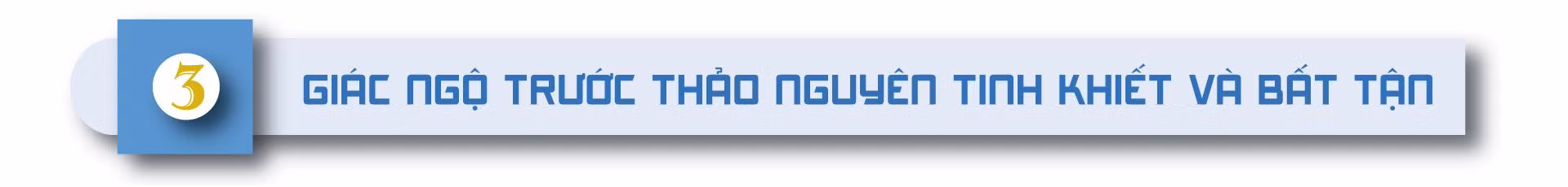 Lãng du Mông Cổ ảnh 13