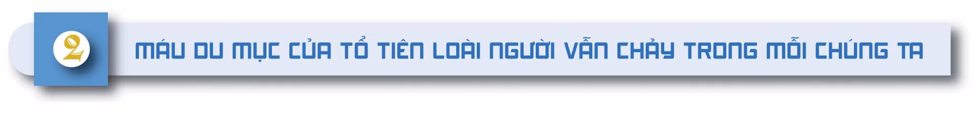 Lãng du Mông Cổ ảnh 7