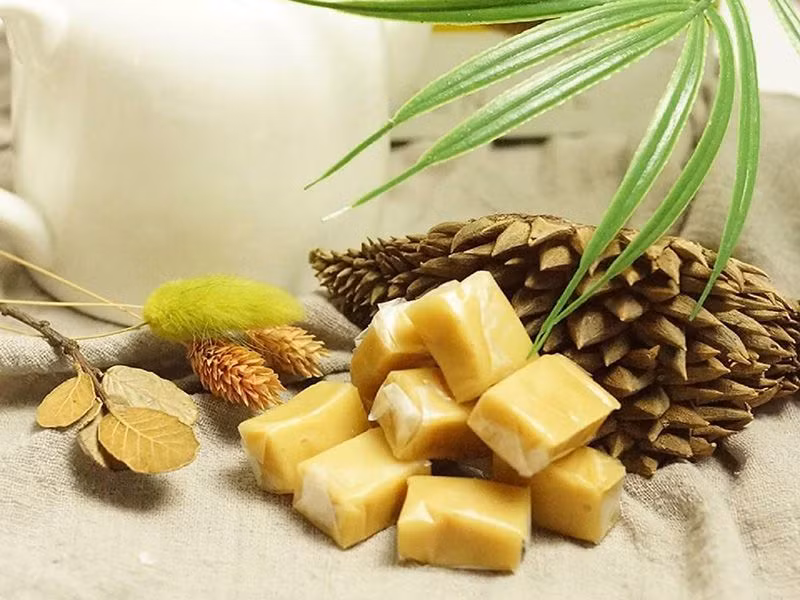 CEO VĨNH TIẾN ĐẶNG THỊ TRÚC LAN CHI: TỪ MỘT THỢ MAY TRỞ THÀNH NGƯỜI ĐƯA ĐẶC SẢN QUÊ NHÀ RA THẾ GIỚI