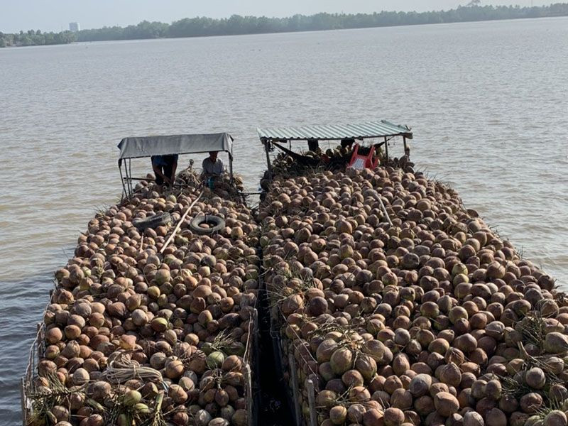 Doanh nhân Trần Văn Đức: Tôi chạnh lòng khi được hỏi “anh bỏ Bến Tre lên Sài Gòn làm giàu anh thấy có vui không?”