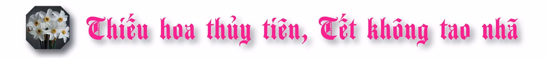 Tết xưa của thương gia Hà thành ảnh 6