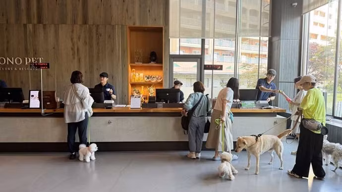 Thú cưng trở thành khách VIP của ngành du lịch Hàn Quốc 