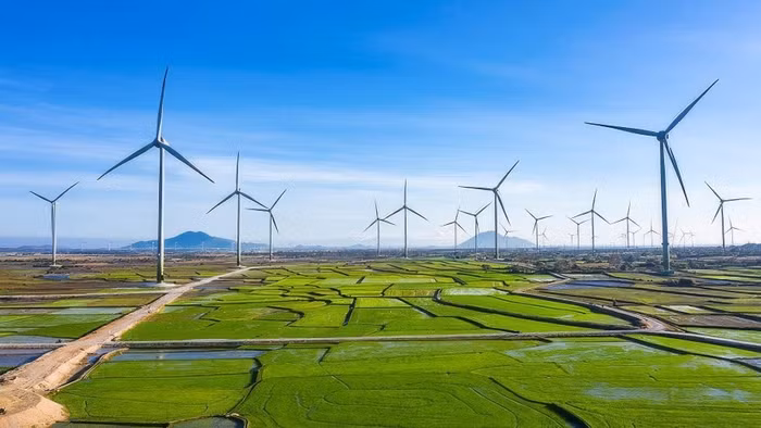 Trungnam Group lỗ gần 2.900 tỷ đồng, ôm khối nợ hơn 65.000 tỷ 