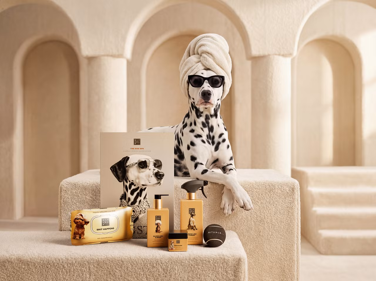 682593-1122060-rituals-dc26022-pdp-dog-wellness-pack-2026-png-1bce9c-large.png