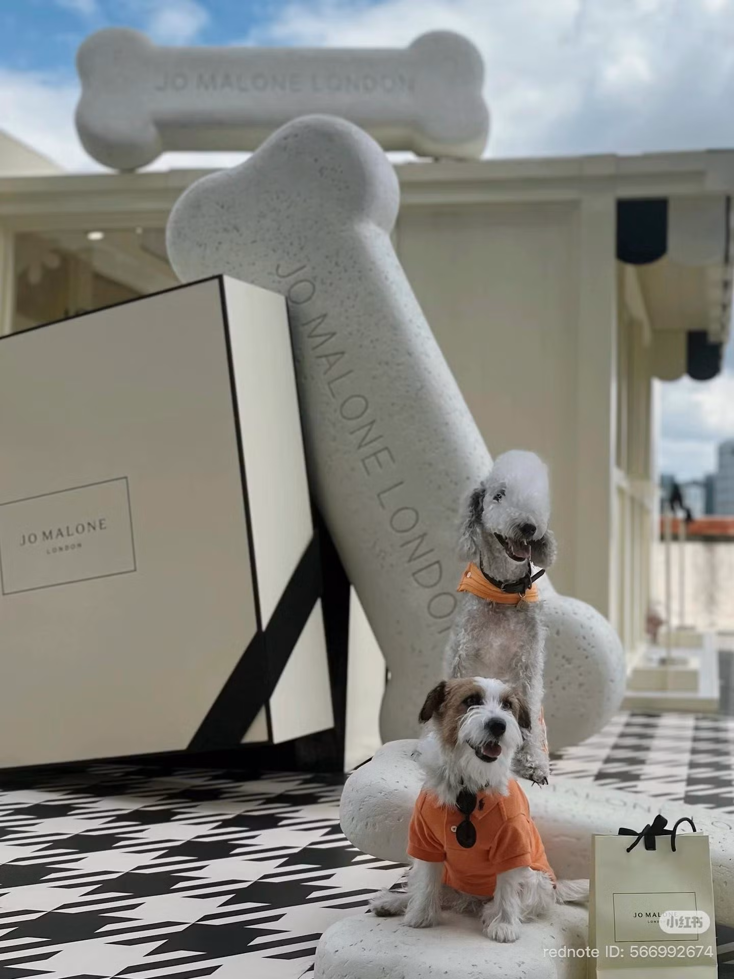 Sự kiện ra mắt sản phẩm Orange Blossom &amp; Cedarwood dành cho cún cưng của Jo Malone London tại Trung Quốc