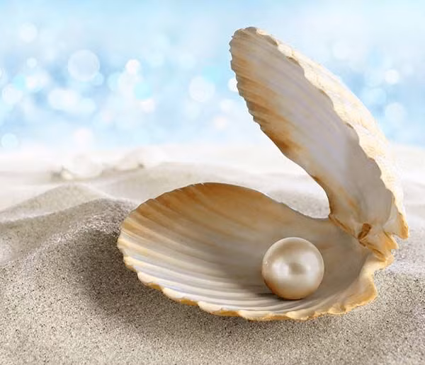 1 viên ngọc trai tự nhiên thật có giá đắt đỏ như thế nào?