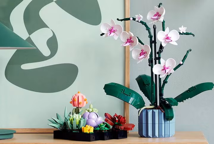 LEGO Creator mang phong lan và cây mọng nước tới Bộ sưu tập Thực vật của mình