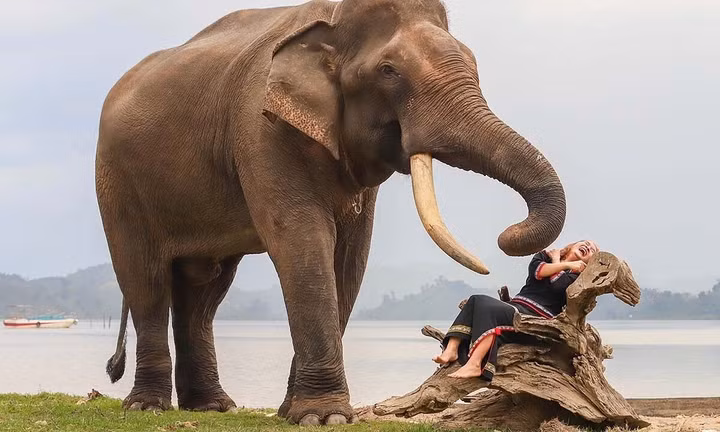 Chàng trai Tây Nguyên làm du lịch thân thiện với voi