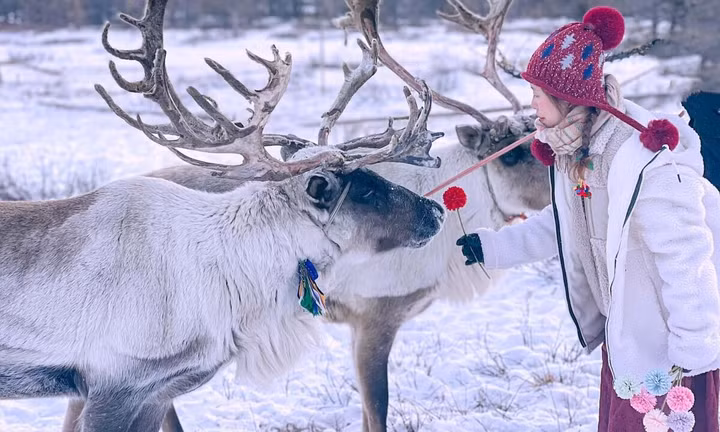 Khách Việt có thể xin e-visa đến Mông Cổ