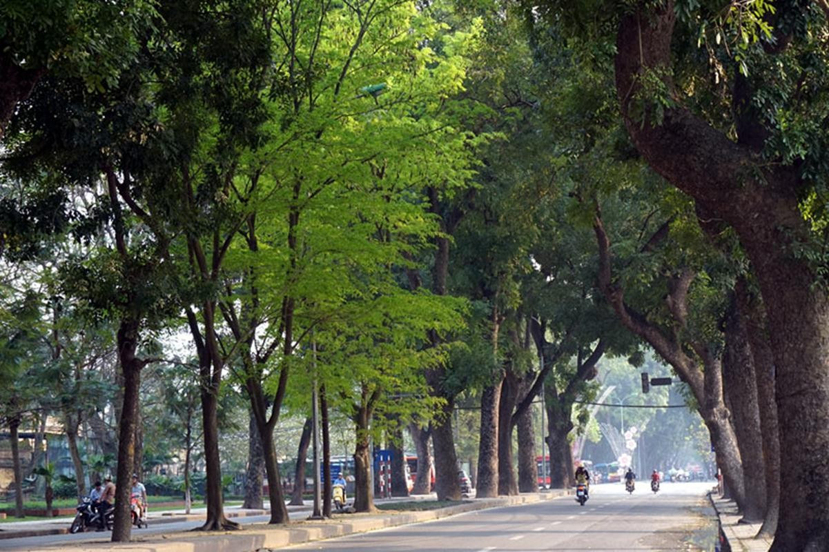 Trong bối cảnh Hà Nội ngày càng đối mặt với áp lực lớn về môi trường, hạ tầng và chất lượng sống đô thị, Chỉ thị số 20/CT-TTg do Thủ tướng Chính phủ ban hành ngày 12/7/2025 đã đánh dấu một bước ngoặt "xanh" quan trọng img-4883.jpg