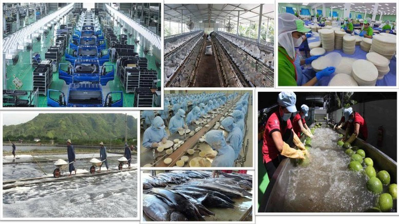 Sự trưởng thành của khu vực tư nhân trong nước là một trong những thành tựu quan trọng nhất của quá trình đổi mới Sự trưởng thành của khu vực tư nhân trong nước là một trong những thành tựu quan trọng nhất của quá trình đổi mới