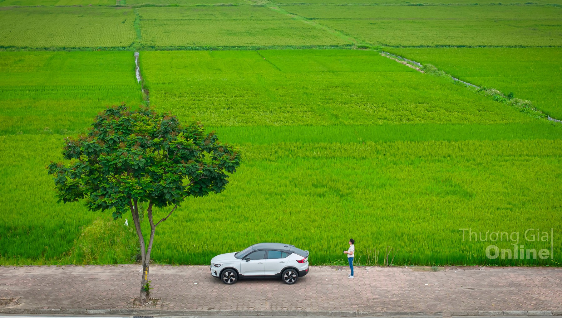 dji-20250514103435-0193-d.jpg