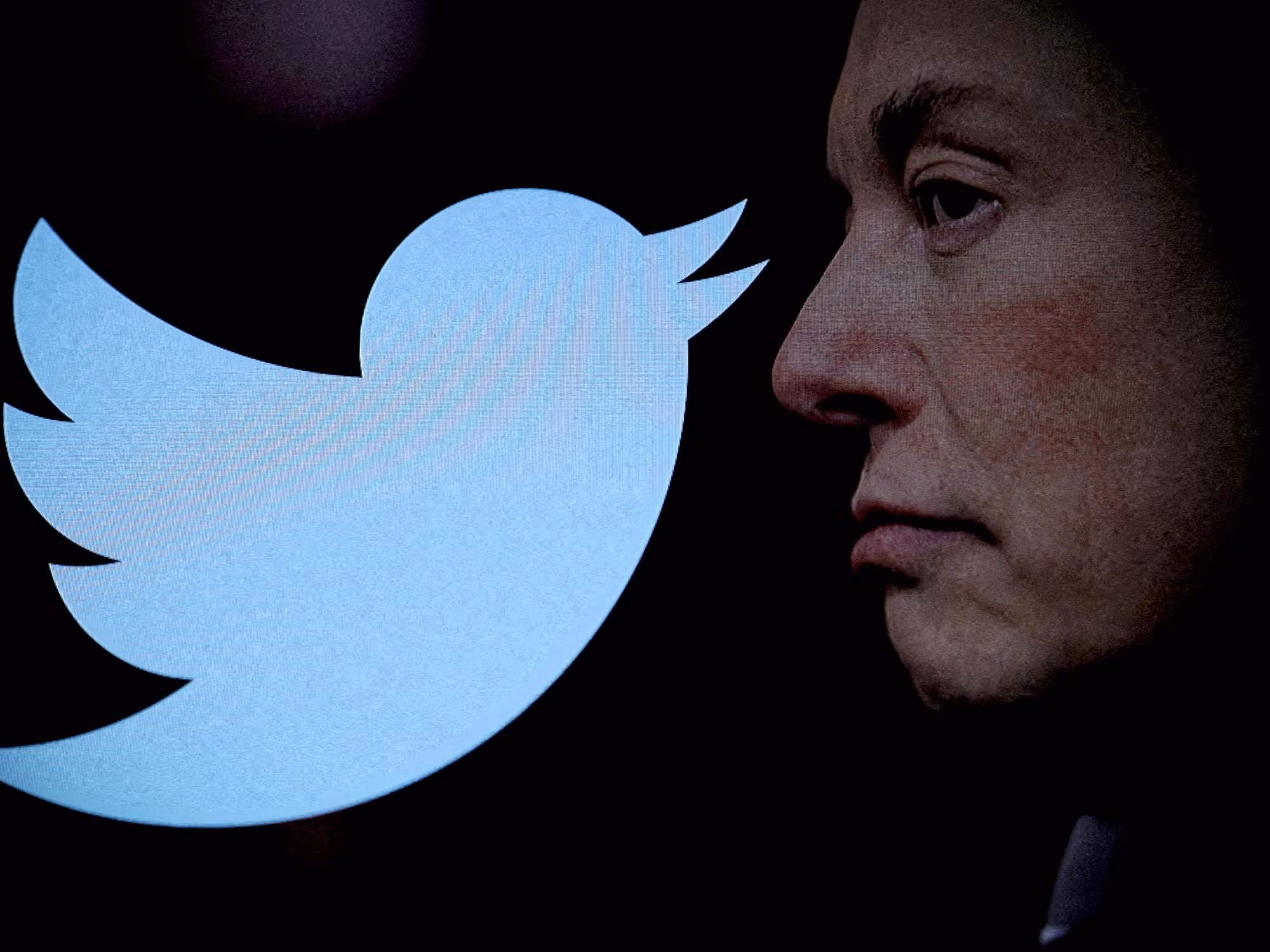 logotipo-do-twitter-ao-lado-do-rosto-de-elon-musk-1685193797069-v2-4x3-3783.jpg