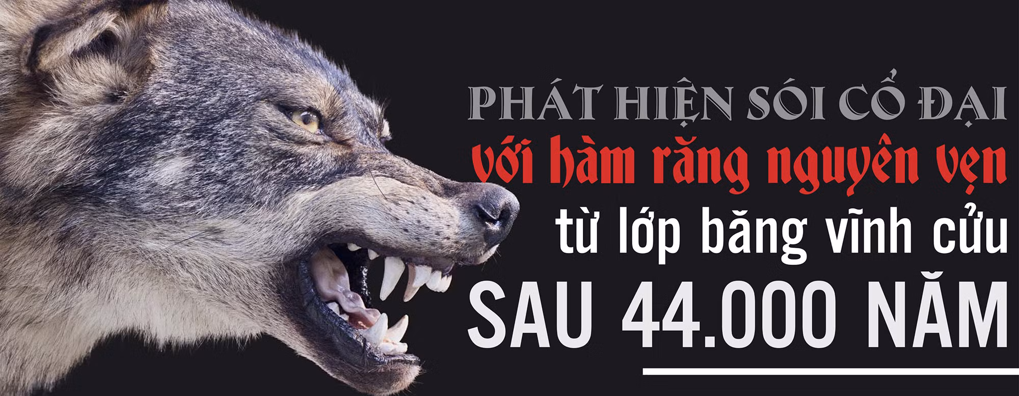 soi-co-dai-anh-chinh-3071.jpg