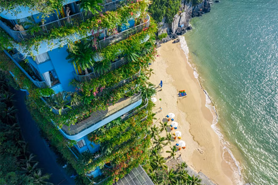 Flamingo Cát Bà 1.jpg