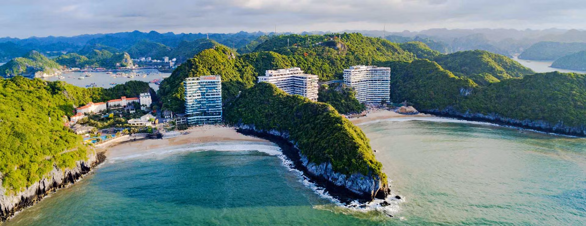 Flamingo Cát Bà.jpg