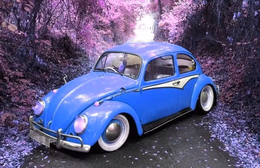 volkswagen-beetle-9618.jpg