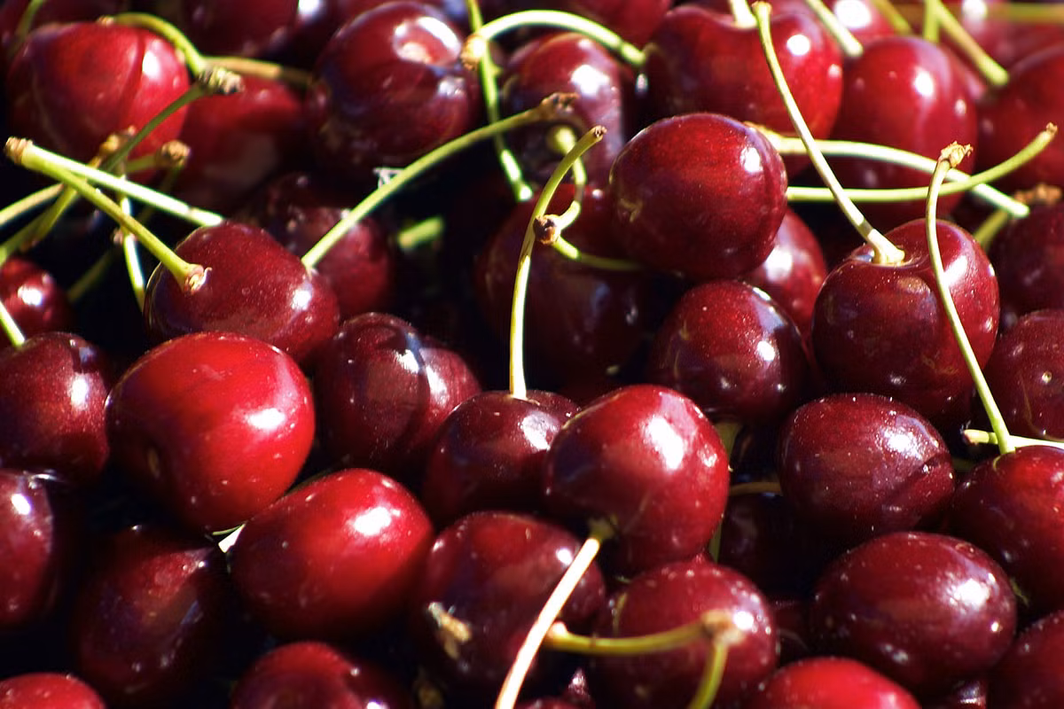 cherry-3981.jpg
