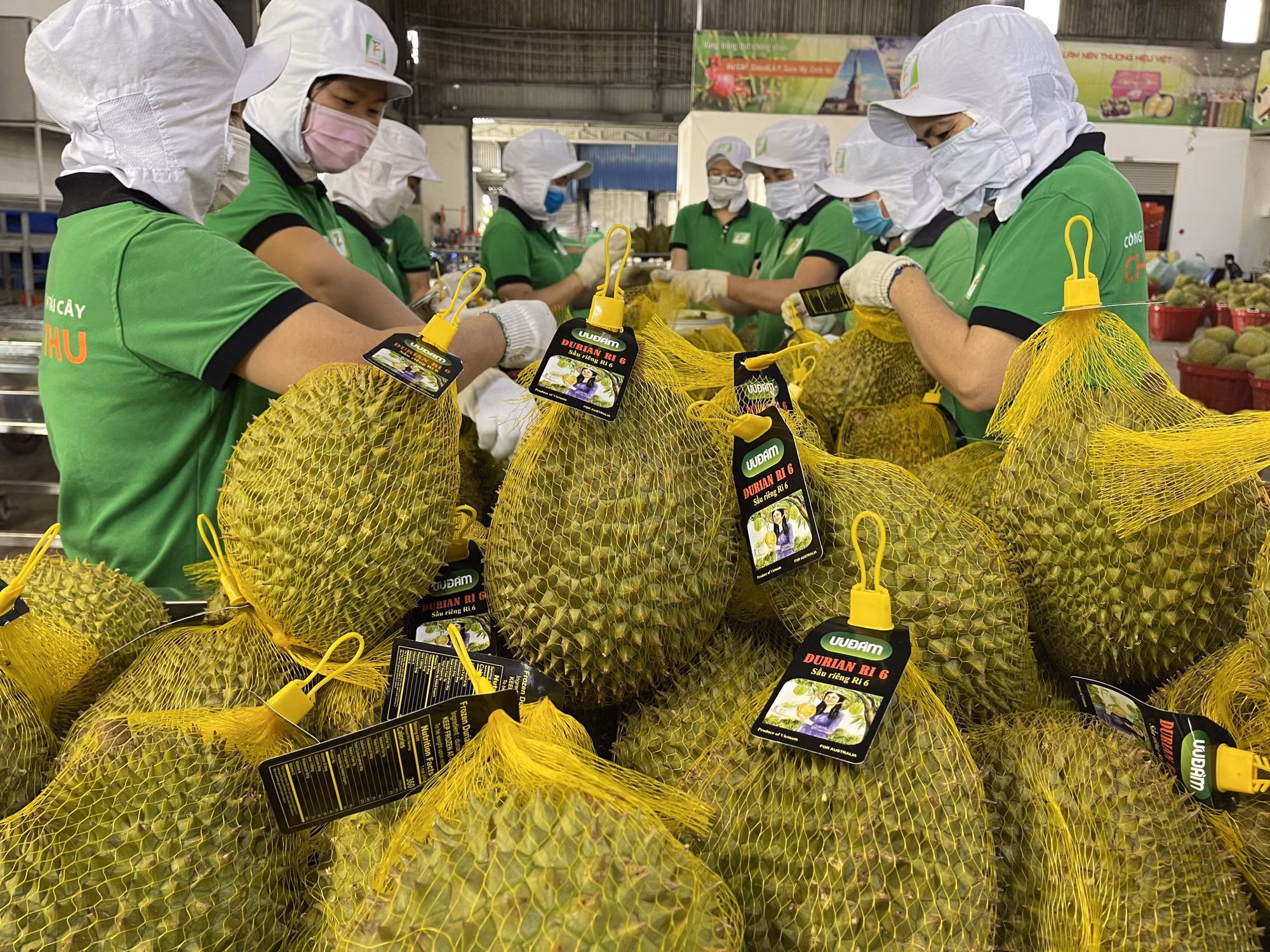 sau-rieng-5213.jpeg
