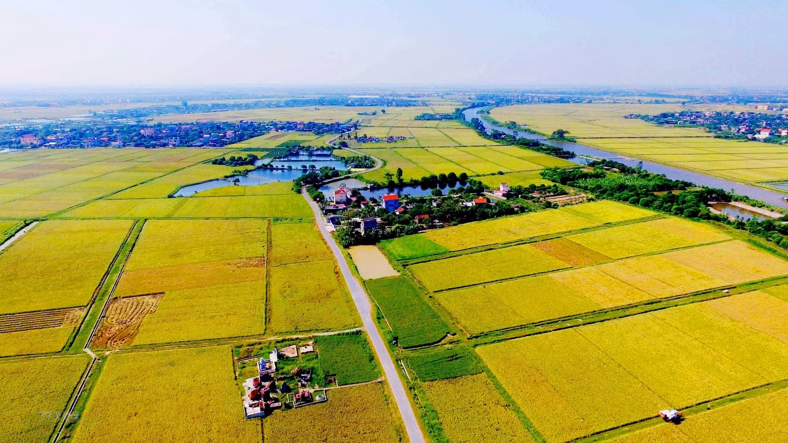 dong-tinh-voi-chinh-sach-mien-thue-su-dung-dat-nong-nghiep-8110.jpg