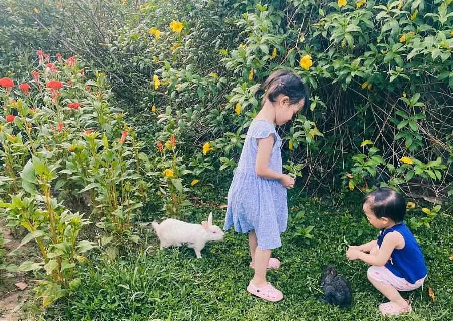 Các em bé nhà chị Diệu chơi cùng thỏ tại công viên Hồ Thiên Nga, KĐT Ecopark. Ảnh Huyền Diệu.jpg