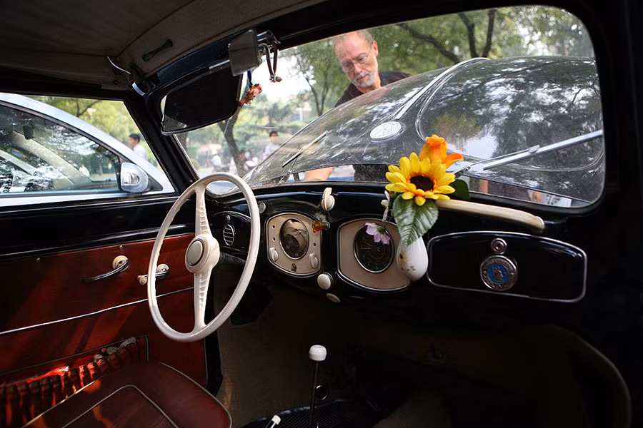 biểu tượng lọ hoa của Beetle.jpg