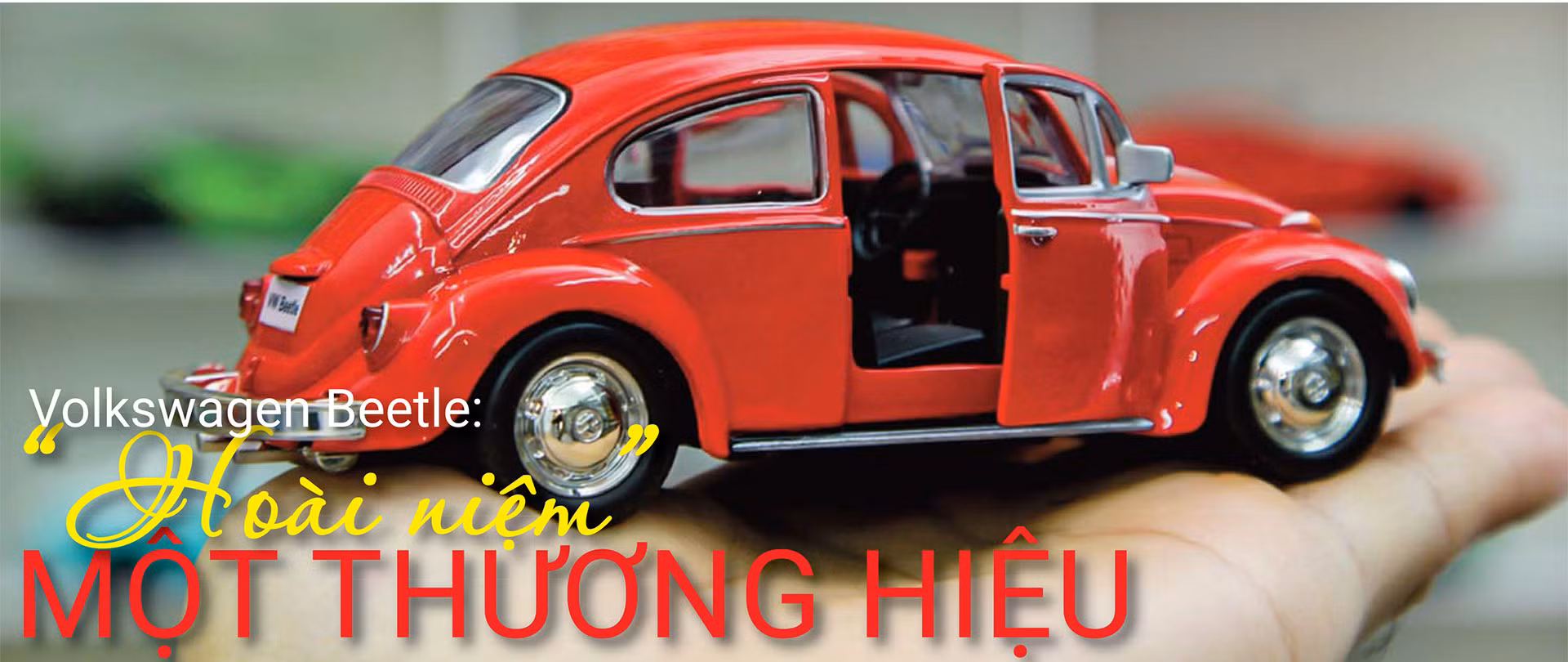 Beetle-ảnh-chính.jpg