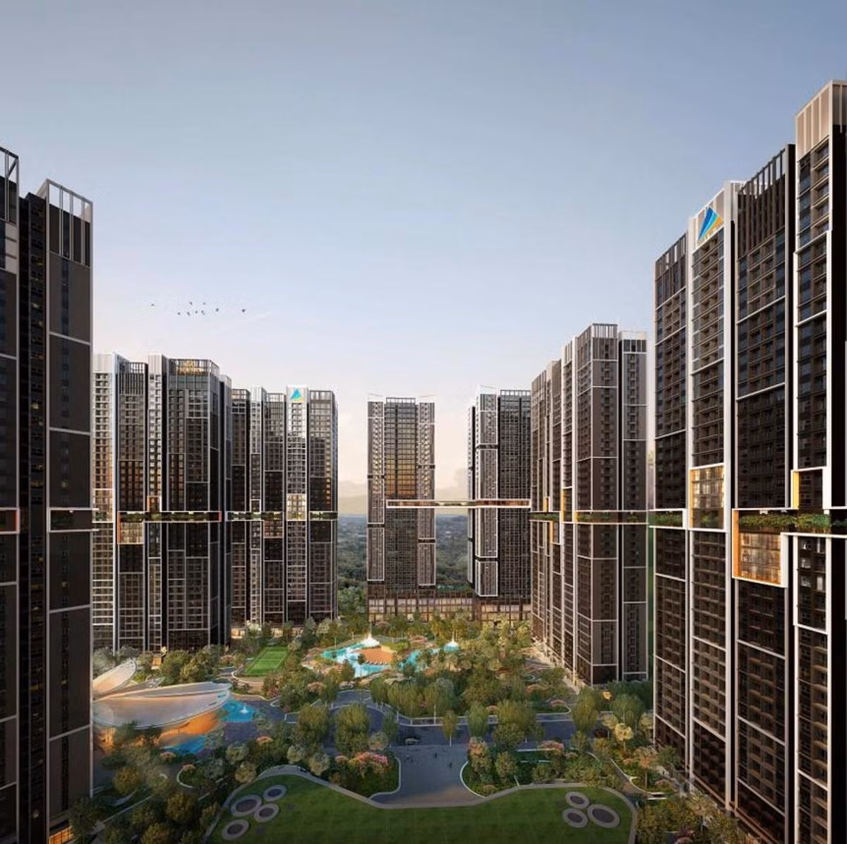 DXG-2.png
