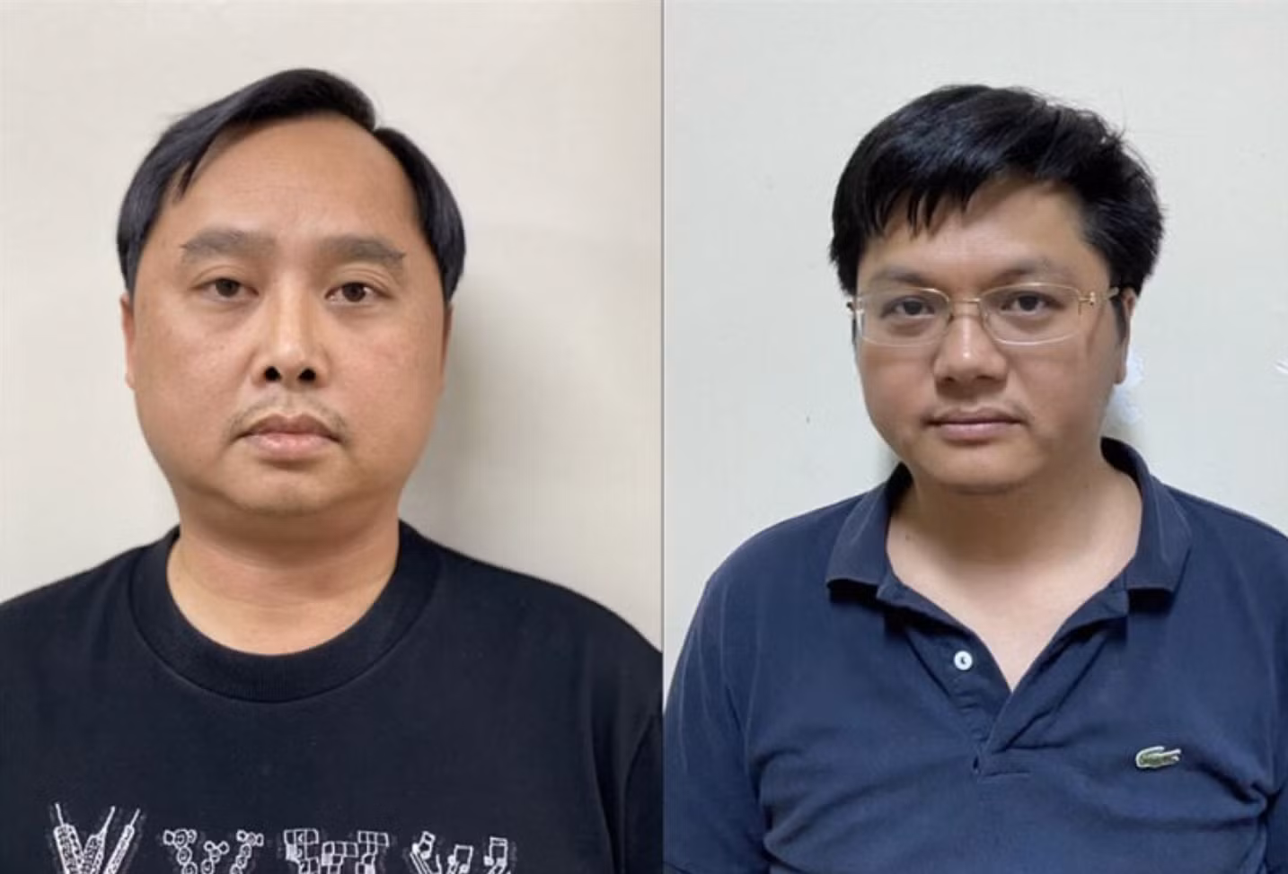 Đỗ Thành Nhân, Chủ tịch Hội đồng quản trị Công ty Cổ phần Louis Holdings thông đồng với Đỗ Đức Nam, Tổng giám đốc Công ty Cổ phần Chứng khoán Trí Việt và các đối tượng khác sử dụng nhiều tài khoản giao dịch chứng khoán thực hiện mua, bán và lôi kéo người khác mua, bán chứng khoán để thao túng giá cổ phiếu TGG, cổ phiếu BII và các mã chứng khoán khác trái quy định pháp luật, thu lợi bất chính hàng trăm tỷ đồng.