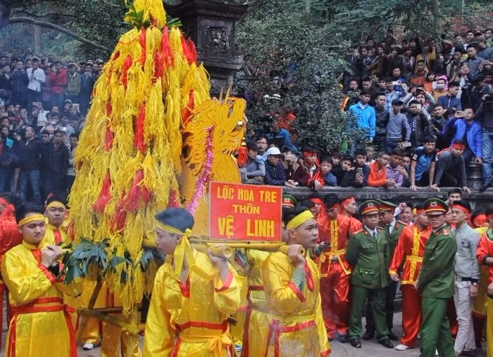 Chuyện hoa tre và lễ hội