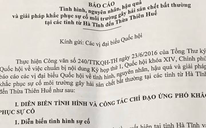 9 dòng kiểm điểm trách nhiệm trong báo cáo riêng về Formosa