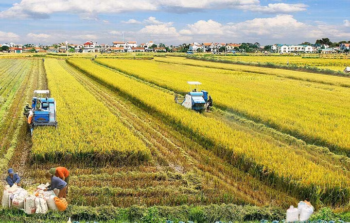 Đã biết vì sao vốn FDI không chảy vào nông nghiệp