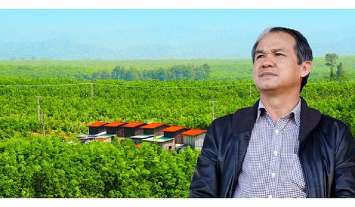 Bách Hoá Xanh sẽ mua toàn bộ trái cây của bầu Đức nếu thị trường có nhu cầu