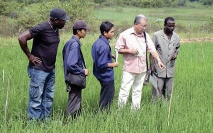 Gạo Việt Nam thua đau Myanmar: Dự báo sắp thành thật