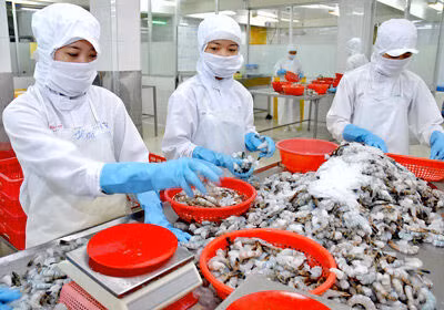 Tôm xuất vào Hàn Quốc phải chỉ định kiểm dịch từ 1/4