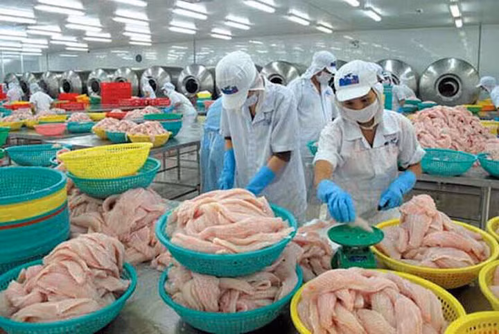 “Vua cá tra” Hùng Vương thua lỗ: Nặng gánh nợ 13 nghìn tỷ