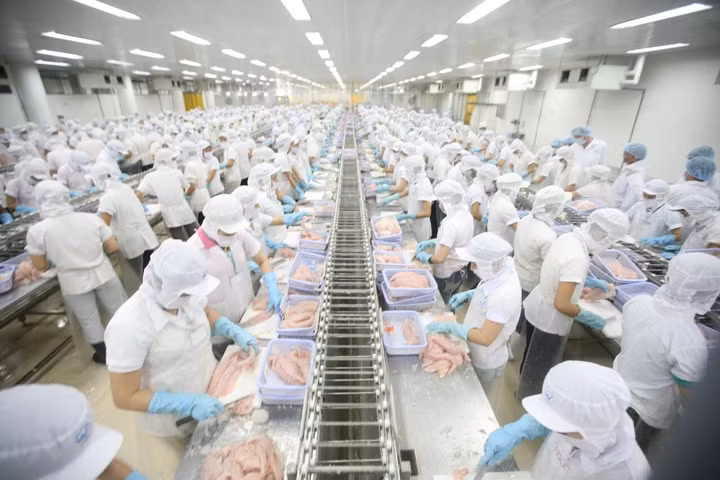 Thủy sản hưởng lợi nhất nhờ FTA giữa Việt Nam và EAEU