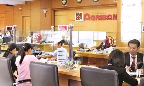 Sếp Agribank tiếp tay doanh nghiệp chiếm đoạt 500 tỷ đồng