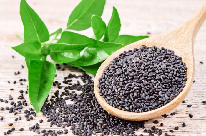 basilseeds1da20cf5.jpg