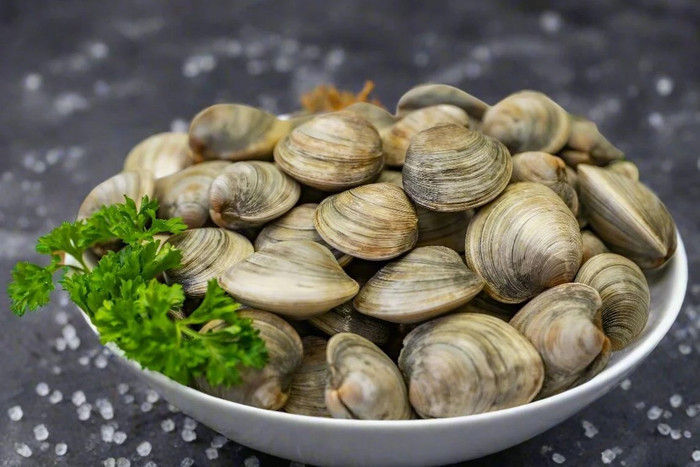 whole-shell-clams.jpg
