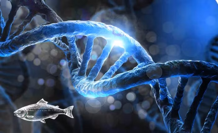 salmon-dna.jpg