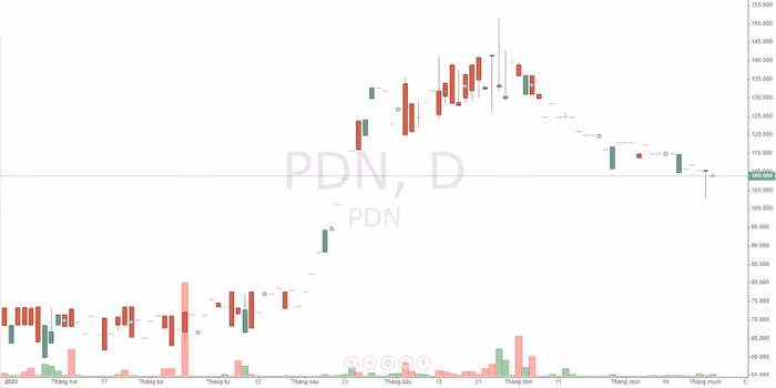 5 10 23 PDN stock.jpg