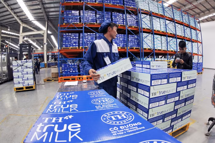Dự án sữa 1,2 tỷ USD của TH true MILK: Điểm sáng thành công từ nguồn vốn vay kịp thời của VDB
