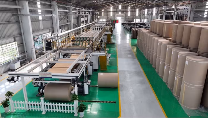 Chuyển đổi xanh không còn là sự lựa chọn mà đã trở thành yêu cầu bắt buộc đối với doanh nghiệp ngành bao bì