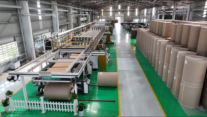 Chuyển đổi xanh không còn là sự lựa chọn mà đã trở thành yêu cầu bắt buộc đối với doanh nghiệp ngành bao bì
